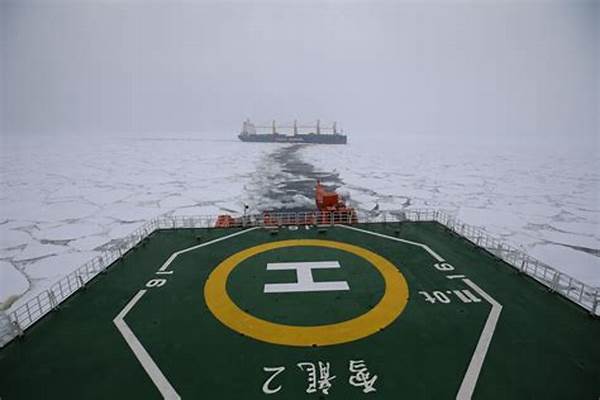 “雪”字的笔顺是怎样的