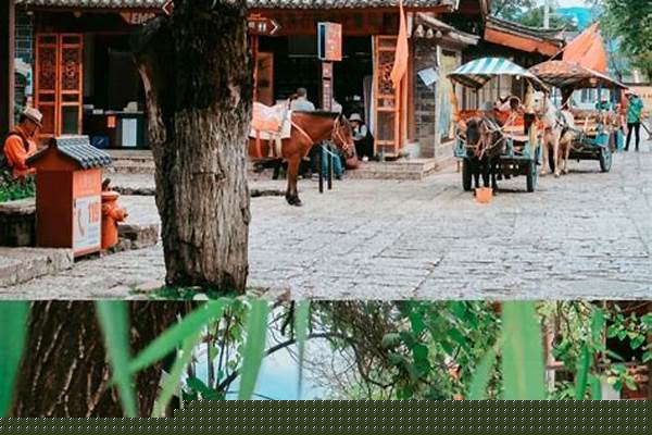 丽江三个古镇,那个古镇比较适合发呆,晒太