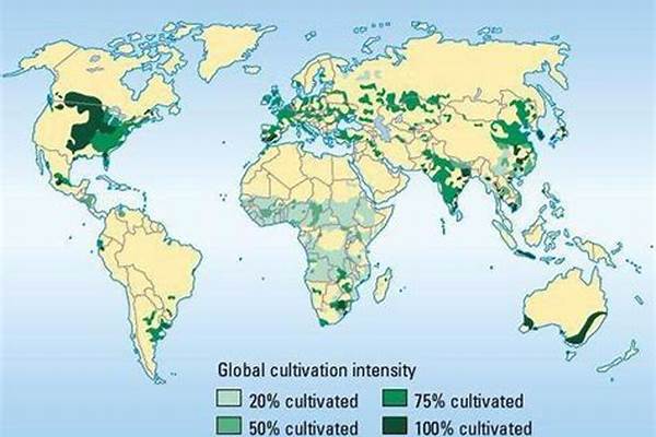 全球现有耕地面积是多少