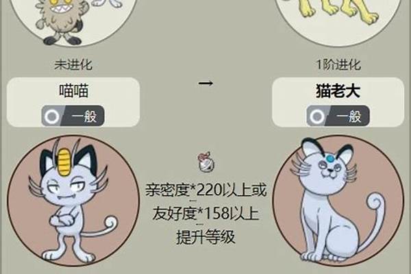 口袋妖怪猫老大配招