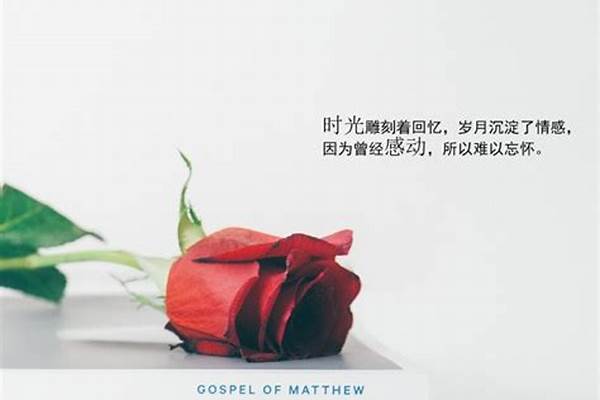 有时候我们可以看到这样一个现象:有高压锅