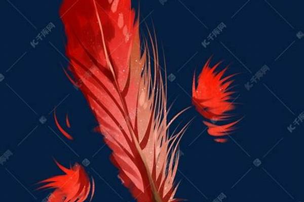 红色的羽毛代表什么意思_愤怒的小鸟红鸟的神奇羽毛