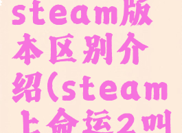 《命运2》steam版本区别介绍(steam上命运2叫什么)