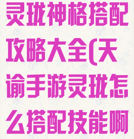 《天谕手游》灵珑神格搭配攻略大全(天谕手游灵珑怎么搭配技能啊)