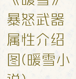 《暖雪》暴怒武器属性介绍图(暖雪小说)