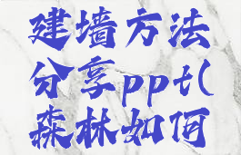 《森林》建墙方法分享ppt(森林如何建房)