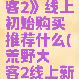 《荒野大镖客2》线上初始购买推荐什么(荒野大镖客2线上新手入门)