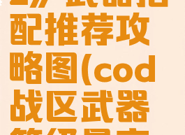 《cod战区2》武器搭配推荐攻略图(cod战区武器等级最高多少)