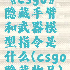 《csgo》隐藏手臂和武器模型指令是什么(csgo隐藏物品)