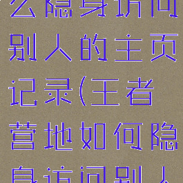 王者营地怎么隐身访问别人的主页记录(王者营地如何隐身访问别人主页)