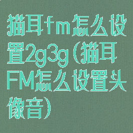 猫耳fm怎么设置2g3g(猫耳FM怎么设置头像音)