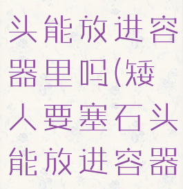 矮人要塞石头能放进容器里吗(矮人要塞石头能放进容器里吗视频)