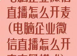 电脑企业微信直播怎么开麦(电脑企业微信直播怎么开麦克风模式)