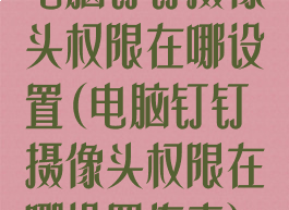 电脑钉钉摄像头权限在哪设置(电脑钉钉摄像头权限在哪设置连麦)