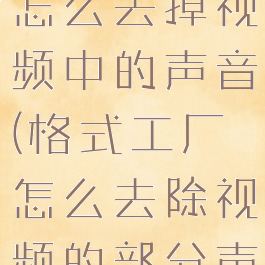 用格式工厂怎么去掉视频中的声音(格式工厂怎么去除视频的部分声音)