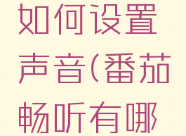 番茄畅听如何设置声音(番茄畅听有哪些功能)