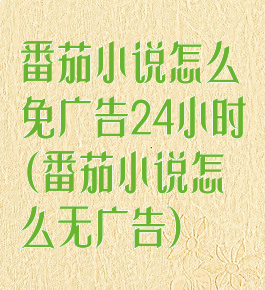 番茄小说怎么免广告24小时(番茄小说怎么无广告)