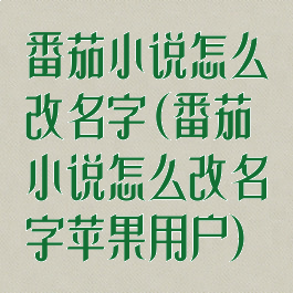 番茄小说怎么改名字(番茄小说怎么改名字苹果用户)