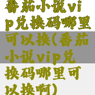 番茄小说vip兑换码哪里可以换(番茄小说vip兑换码哪里可以换啊)