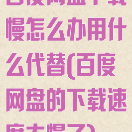 百度网盘下载慢怎么办用什么代替(百度网盘的下载速度太慢了)