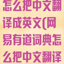 网易有道词典怎么把中文翻译成英文(网易有道词典怎么把中文翻译成英文的)