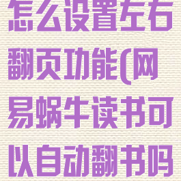 网易蜗牛读书怎么设置左右翻页功能(网易蜗牛读书可以自动翻书吗)