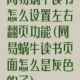 网易蜗牛读书怎么设置左右翻页功能(网易蜗牛读书页面怎么是灰色的了)