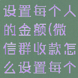 群收款怎么设置每个人的金额(微信群收款怎么设置每个人的金额)