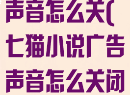 七猫小说广告声音怎么关(七猫小说广告声音怎么关闭啊)