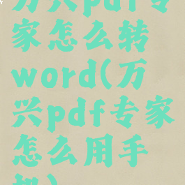 万兴pdf专家怎么转word(万兴pdf专家怎么用手机)