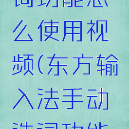 东方输入法手动造词功能怎么使用视频(东方输入法手动造词功能怎么使用视频教程)