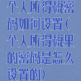 个人所得税密码如何设置(个人所得税里的密码是怎么设置的)