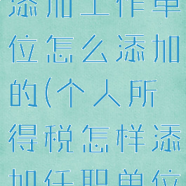 个人所得税添加工作单位怎么添加的(个人所得税怎样添加任职单位)