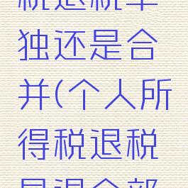 个人所得税退税单独还是合并(个人所得税退税是退全部吗)