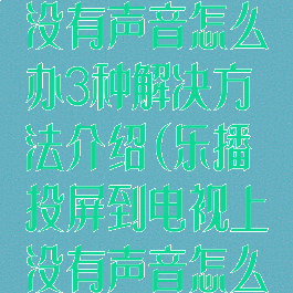 乐播投屏电视没有声音怎么办3种解决方法介绍(乐播投屏到电视上没有声音怎么办)