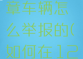 交管12123举报违章车辆怎么举报的(如何在12123举报违章)