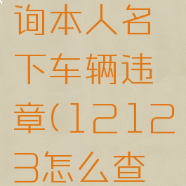 交管12123怎么查询本人名下车辆违章(12123怎么查个人名下车辆)