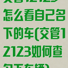 交管12123怎么看自己名下的车(交管12123如何查名下车辆)