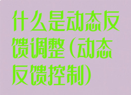 什么是动态反馈调整(动态反馈控制)