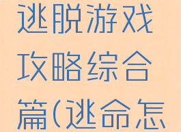 从命运中逃脱游戏攻略综合篇(逃命怎么玩)