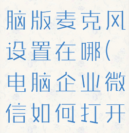 企业微信电脑版麦克风设置在哪(电脑企业微信如何打开麦克风)