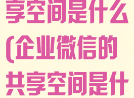 企业微信的共享空间是什么(企业微信的共享空间是什么意思)