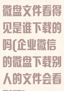 企业微信下载微盘文件看得见是谁下载的吗(企业微信的微盘下载别人的文件会看到吗)