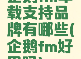 企鹅fm车载支持品牌有哪些(企鹅fm好用吗)