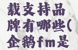 企鹅fm车载支持品牌有哪些(企鹅fm是什么软件)