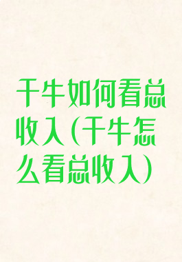 千牛如何看总收入(千牛怎么看总收入)