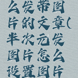 半次元怎么发带图片的文章(半次元发图片怎么设置图片水印)