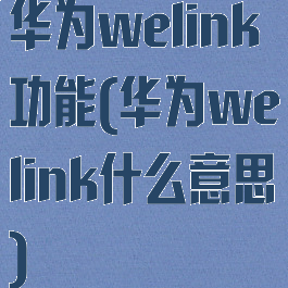 华为welink功能(华为welink什么意思)