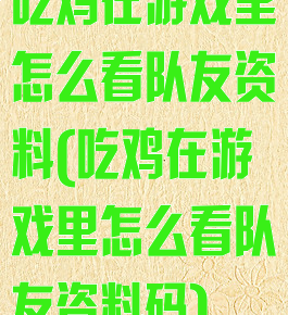 吃鸡在游戏里怎么看队友资料(吃鸡在游戏里怎么看队友资料码)