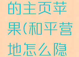 和平营地怎么隐身访问别人的主页苹果(和平营地怎么隐身访问别人的主页苹果手机)